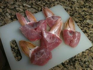 Red snapper throats Clearance